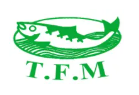 TFM Logo